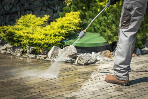 Best Soft Washing  in Lawtey, FL