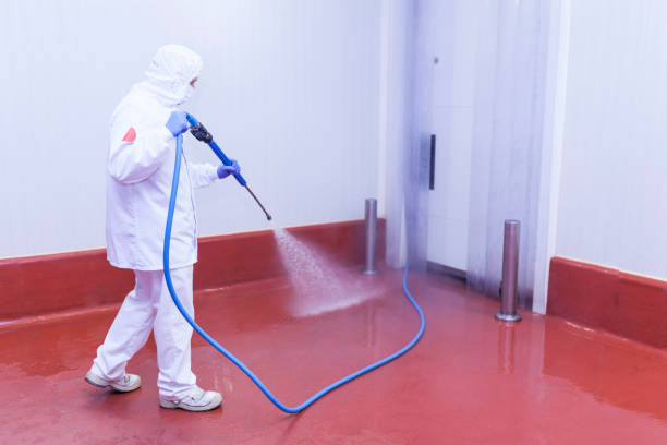 Best Graffiti Removal  in Lawtey, FL